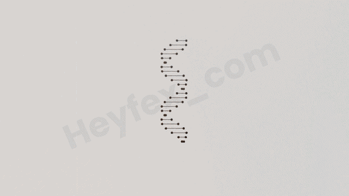 Data & System Visualization Animation